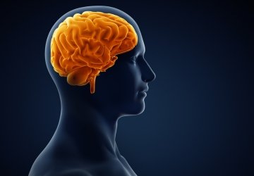 Cognitive Behavioral Therapy Basics